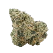UB Trop Gelato | 3.5g