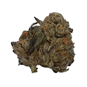 BD Tropicana Cherry | 3.5g