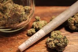GMO (Pre-Roll 1 gr