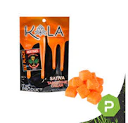 Kola Tangerine Cream (Sativa) 5pk/200mg