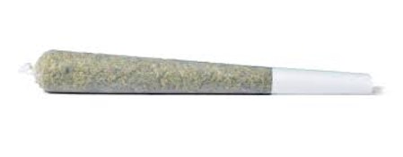 Loudpack- SFV OG Preroll 1.0g