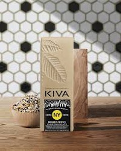 Kiva Confections - KIVA | EVERYTHING BAGEL | DARK CHOCOLATE 100MG