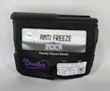 DEALER | Anti Freeze | 3.5G Flower