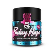 STRAIN GANG | Puday Haze | 3.5G Flower