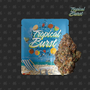 Seed Junky Genetics - 3.5g - Tropical Burst