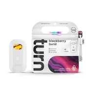 Turn - 1g AIO - Blackberry Burst