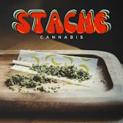 STACHE: Citrus Sunset Premium Pre-Ground Small Buds 14g (H)