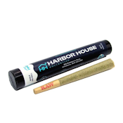 Garlic Drip - 1g - Harbor House