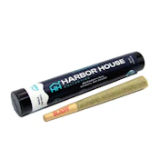 Grape Cream Cake - 1g - Harbor House