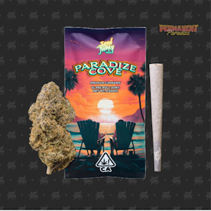 Seed Junky Genetics - Seed Junky Genetics - 1g Preroll - Paradize Cove