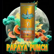 Presidential - 1g Moon Rock Preroll - Papaya Punch