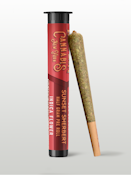 Revert "Sunset Sherbert" Pre-Roll - 0.5g