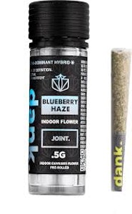 DANK BY DEFINITION - DANK | Blueberry Haze | .5g Preroll