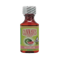 Cannavis - 500mg Syrup - Watermelon