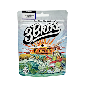 3 Bros - 3 Bros - 3.5g - Orange Diesel 