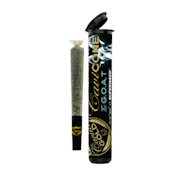 Caviar Gold - 1.5g Infused Preroll - The G.O.A.T