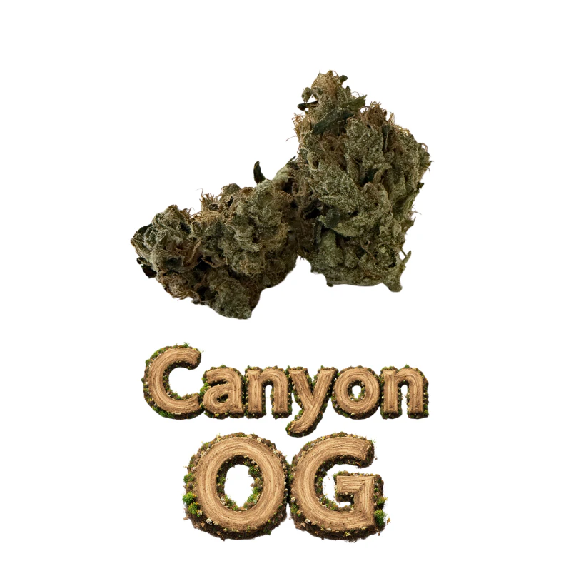 Supply - Canyon OG - 3.5g Premium Indoor Flower (Supply) Main Image