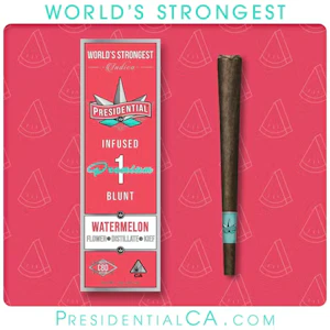 Presidential - Presidential Infused Blunt 1.5g Watermelon