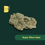 Botanist 3.5g Super Silver Haze 