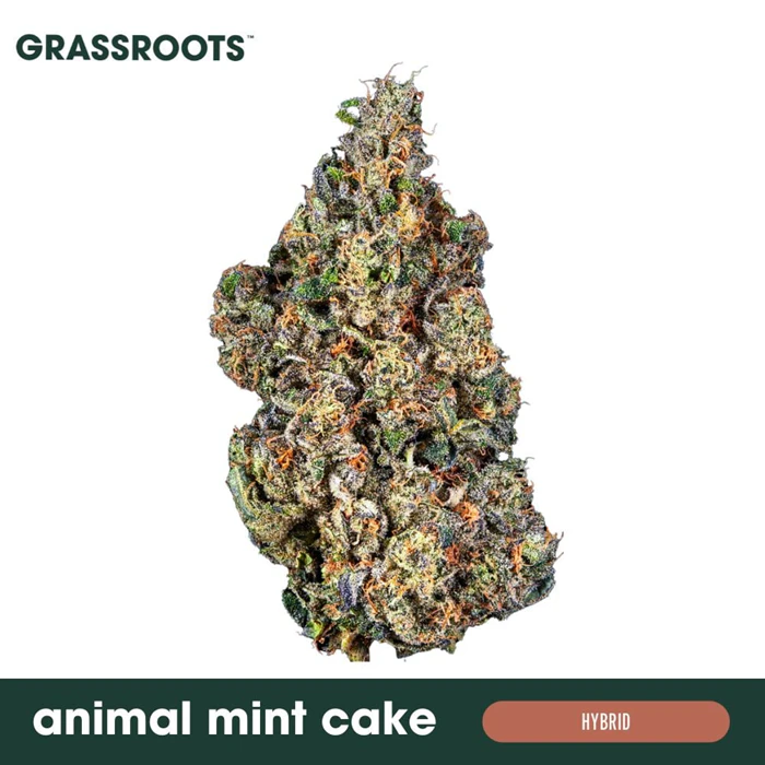 Grassroots - Grassroots 3.5g Berry Batter Main Image