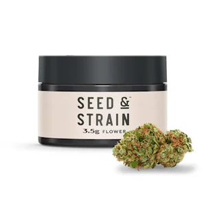 Seed & Strain - Seed & Strain 3.5g Dreamsicle