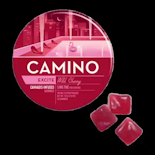 Kiva Camino 20pk Gummies Wild Cherry