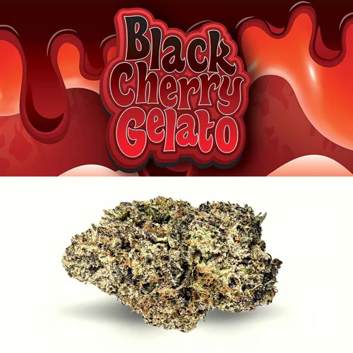 Cookies - Cookies 3.5g Black Cherry Gelato Main Image