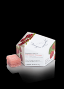 Wyld Gummies Strawberry CBD 20:1