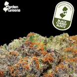 Garden Greens Mixed 14g Black Cherry Runtz