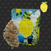Seed Junky Genetics - 7g Bigs - Lemon Fruz