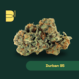 Botanist Smalls 3.5g Durban 95 