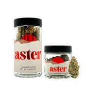 ASTER | Watermelon Freeze | PREGROUND 14G