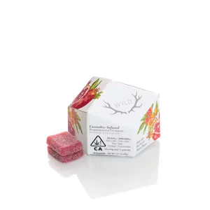 WYLD - Wyld Gummies Pomegranate CBD 1:1