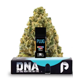 Plug N Play 1g Northern Lights DNA