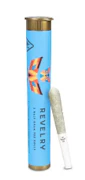 Revelry 2pk Prerolls 1g Mango Madness