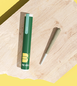 THE BOTANIST - The Botanist Preroll 1g Huckleberry Runtz 