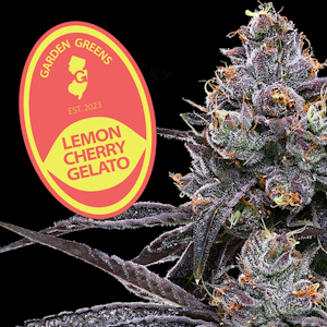 GARDEN GREENS - Garden Greens 3.5g Lemon Cherry Gelato