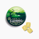 Kiva Camino 20pk Gummies Sparkling Pear CBD 3:1