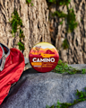 Kiva Camino 20pk Gummies Pineapple Habanero