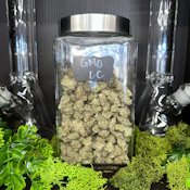 GMO | Indica