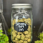 Johnny Boy | Hybrid