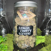 Lemon Cherry Gelato | Hybrid