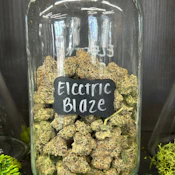 Electric Blaze | Sativa Hybrid