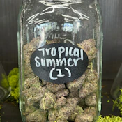 Tropical Summer | Sativa