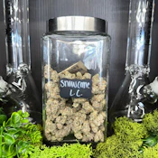 Snow Cane | Sativa