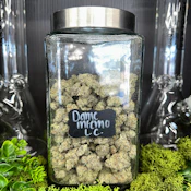 Dantes Inferno | Indica