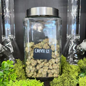 Canal St Runtz | Hybrid