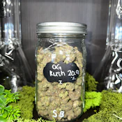 OG Kush | Indica