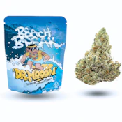 Oakfruitland - Beach Break (H) - Indoor - 3.5g