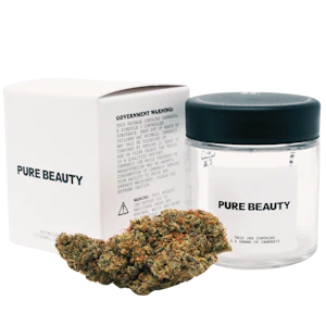 Pure Beauty - Pure Beauty - Terry T x Gelato 33 20:1 CBD - Indoor - 3.5g